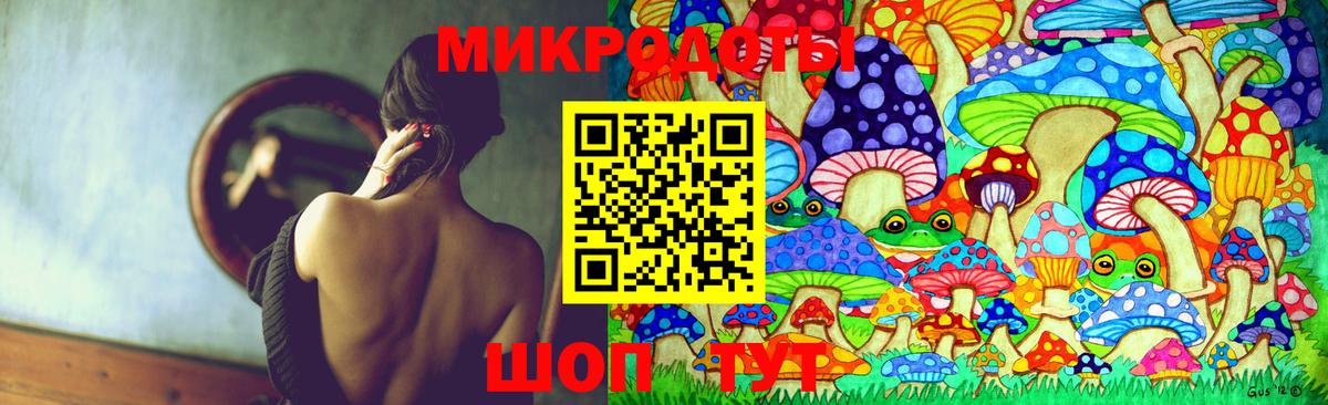 купить  цена  Вход с VPN  Краснокаменск  Псилоцибиновые грибы GOLDEN TEACHER 